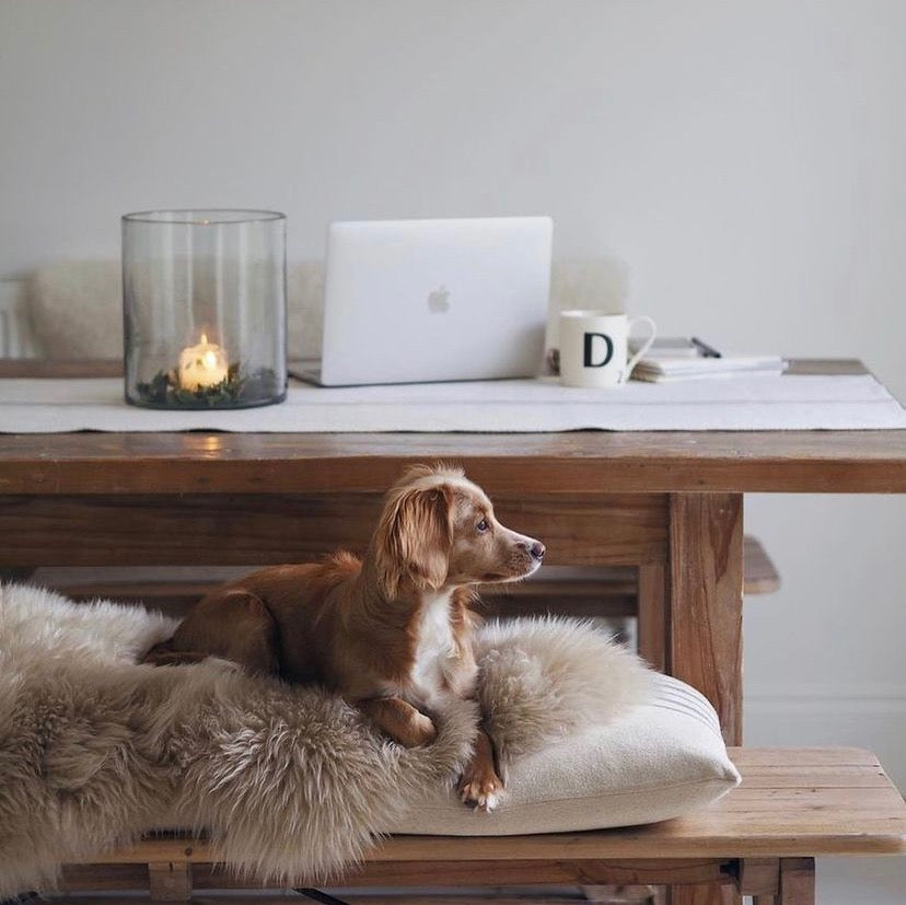 Sheepskin for bench 