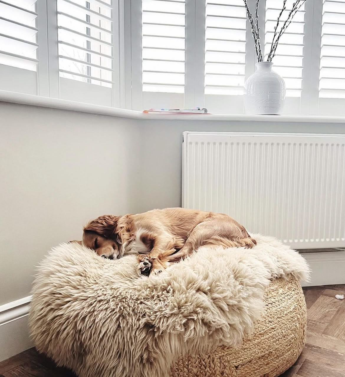 Sheepskin for Pets