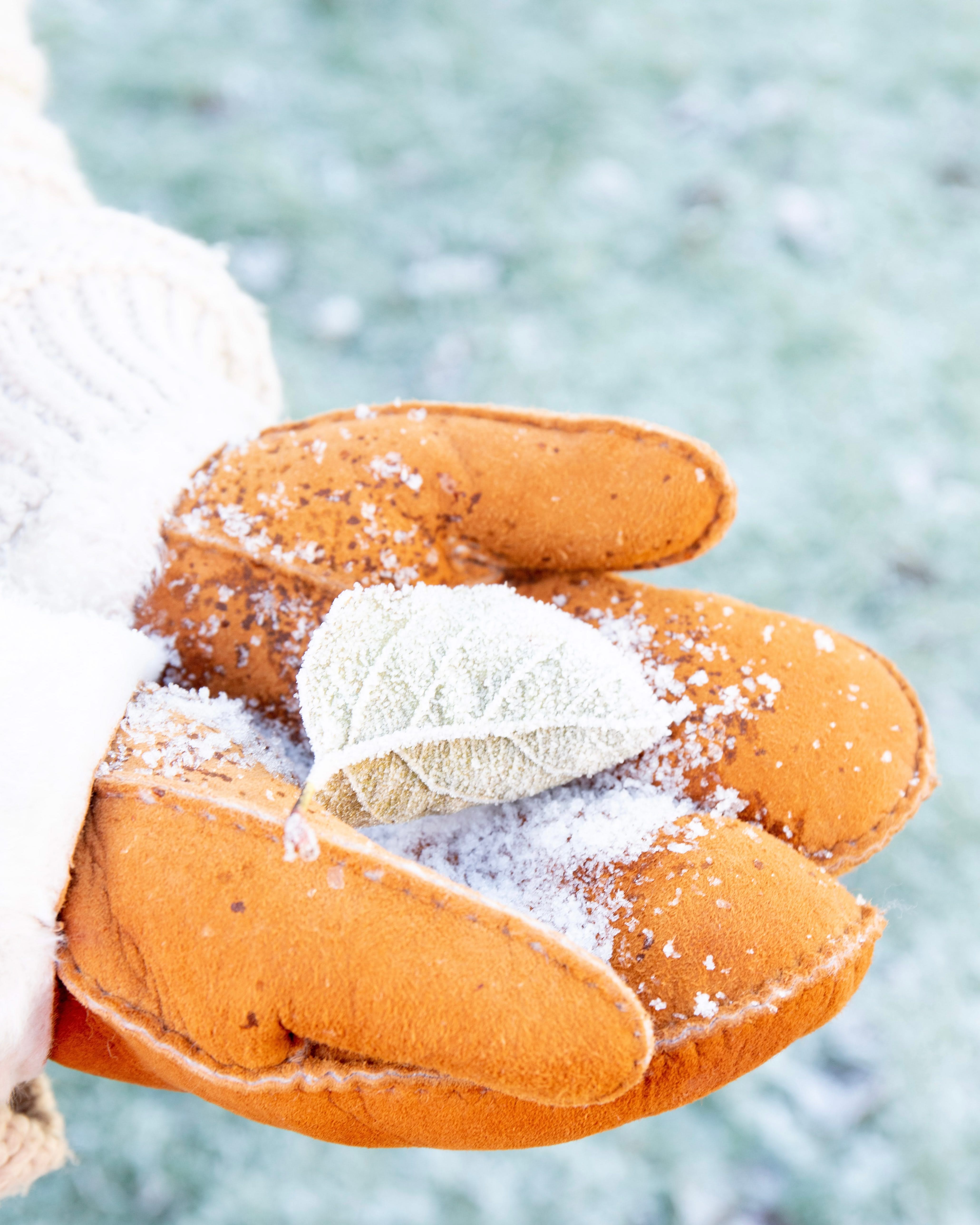 Women’s Luxe Sheepskin Mittens