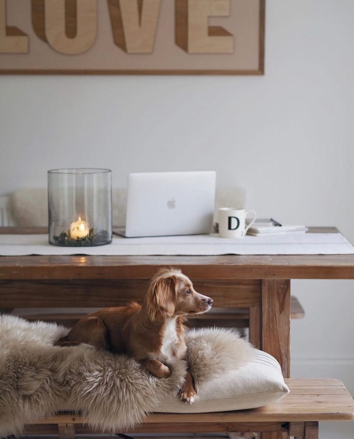 Sheepskin for Pets