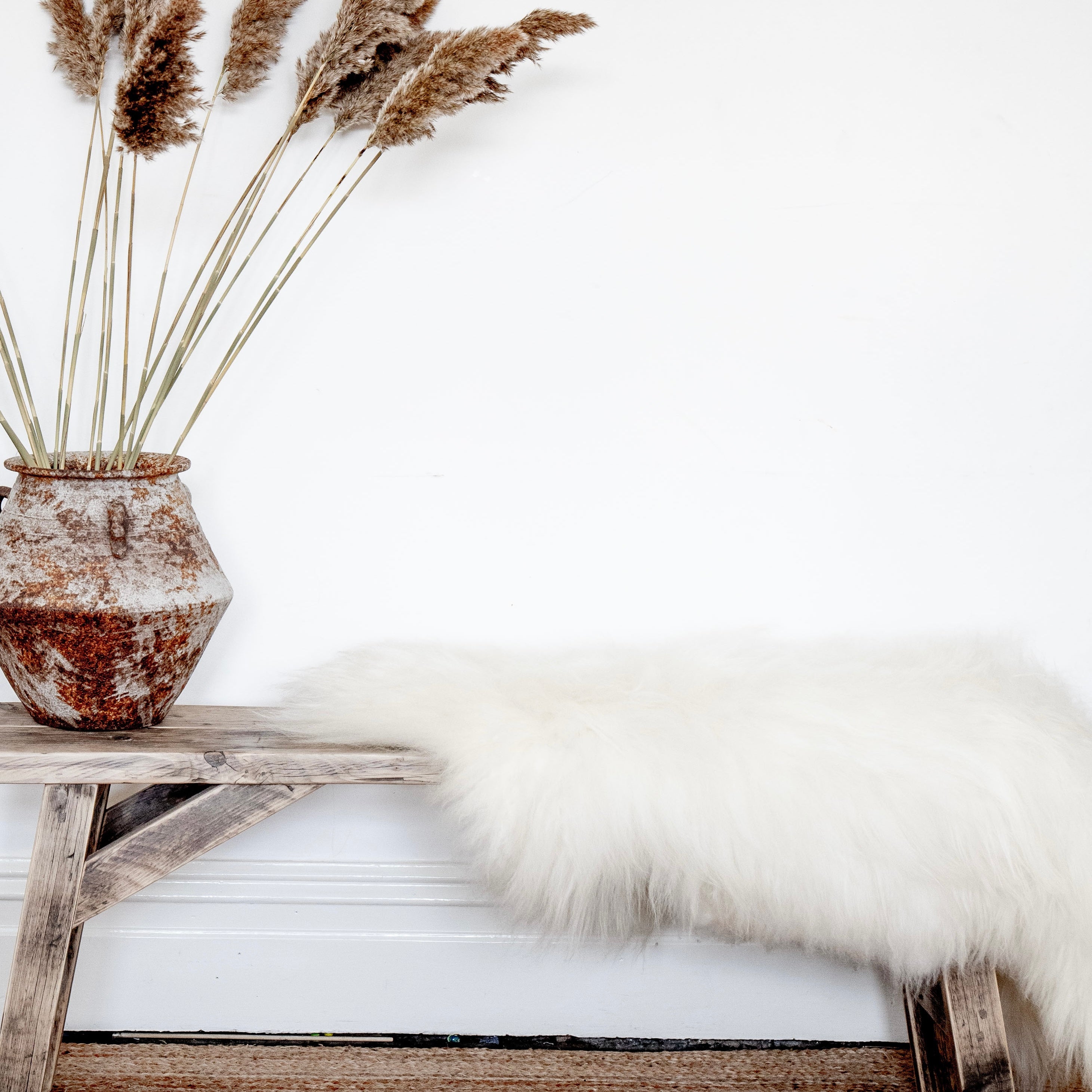 Super rare, special sheepskin from Iceland in Ivory