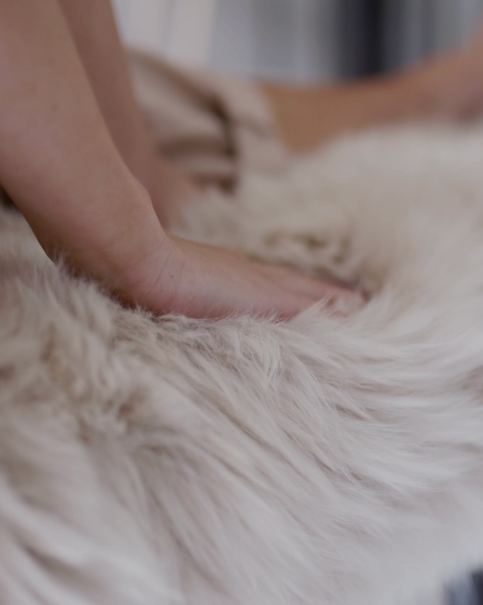 Oyster Sheepskin - Super Soft Wool